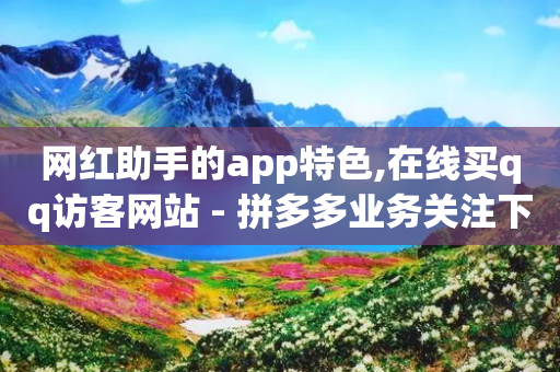 网红助手的app特色,在线买qq访客网站 - 拼多多业务关注下单平台 - 拼多多001积分需要几个人-第1张图片-靖非智能科技传媒