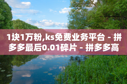 1块1万粉,ks免费业务平台 - 拼多多最后0.01碎片 - 拼多多高级投诉处理专家-第1张图片-靖非智能科技传媒