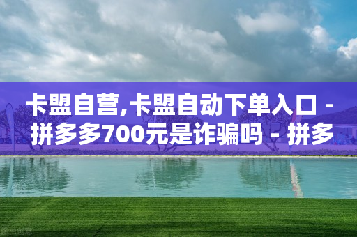 卡盟自营,卡盟自动下单入口 - 拼多多700元是诈骗吗 - 拼多多转盘总是锦鲤附体-第1张图片-靖非智能科技传媒