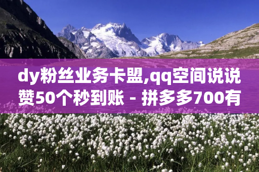 dy粉丝业务卡盟,qq空间说说赞50个秒到账 - 拼多多700有人领到吗 - 拼多多QQ群扫一扫-第1张图片-靖非智能科技传媒