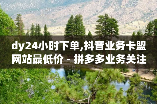 dy24小时下单,抖音业务卡盟网站最低价 - 拼多多业务关注下单平台 - 拼多多开店赚差价的平台-第1张图片-靖非智能科技传媒