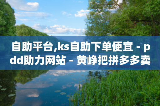 自助平台,ks自助下单便宜 - pdd助力网站 - 黄峥把拼多多卖给谁了