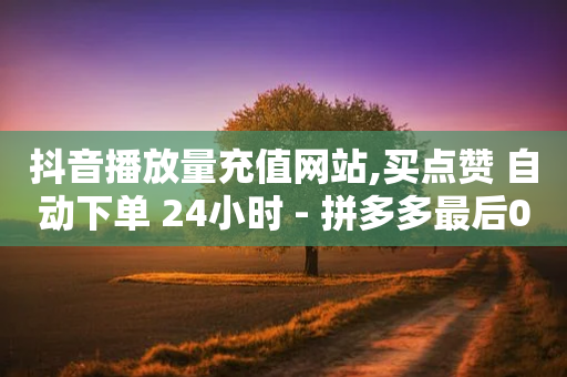 抖音播放量充值网站,买点赞 自动下单 24小时 - 拼多多最后0.01碎片 - 拼多多帮砍助力软件