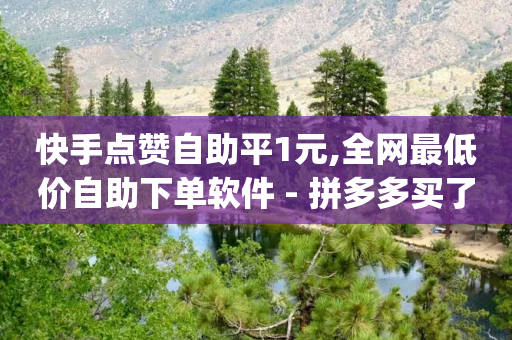 快手点赞自助平1元,全网最低价自助下单软件 - 拼多多买了200刀全被吞了 - 拼多多铺货助手app-第1张图片-靖非智能科技传媒