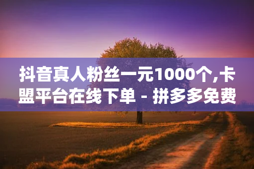 抖音真人粉丝一元1000个,卡盟平台在线下单 - 拼多多免费助力工具app - 拼多多助力100元