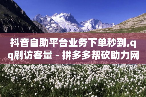 抖音自助平台业务下单秒到,qq刷访客量 - 拼多多帮砍助力网站便宜的原因分析与反馈建议 - 拼多多买了200刀全被吞了-第1张图片-靖非智能科技传媒