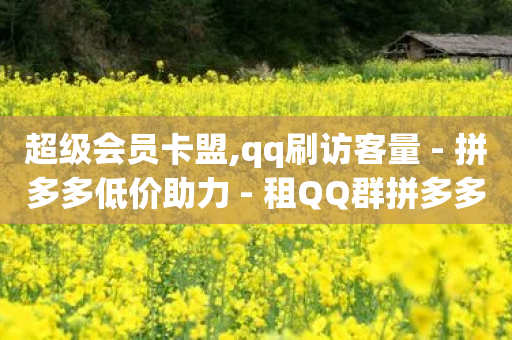 超级会员卡盟,qq刷访客量 - 拼多多低价助力 - 租QQ群拼多多助力平台免费