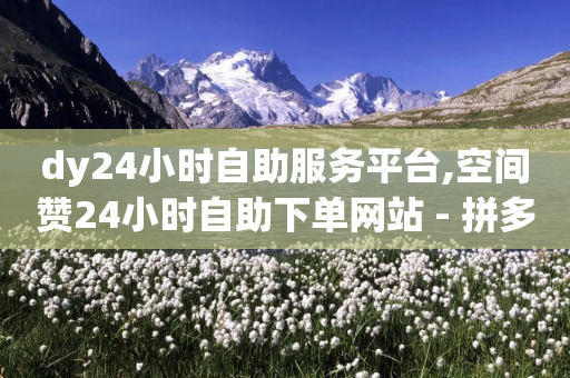 dy24小时自助服务平台,空间赞24小时自助下单网站 - 拼多多现金助力群免费群 - 为啥拼多多可以一直助力成功-第1张图片-靖非智能科技传媒