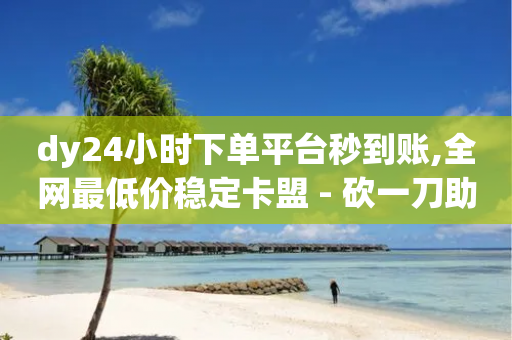 dy24小时下单平台秒到账,全网最低价稳定卡盟 - 砍一刀助力平台 - 拼多多批量注册小号软件-第1张图片-靖非智能科技传媒