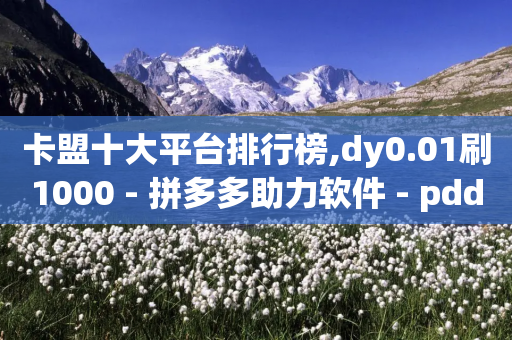 卡盟十大平台排行榜,dy0.01刷1000 - 拼多多助力软件 - pdd砍价助力