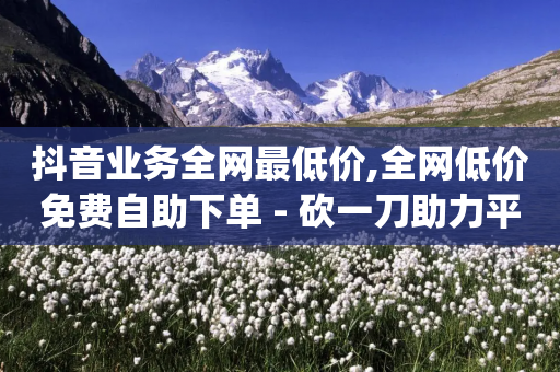 抖音业务全网最低价,全网低价免费自助下单 - 砍一刀助力平台app - 拼着买更划算的东西