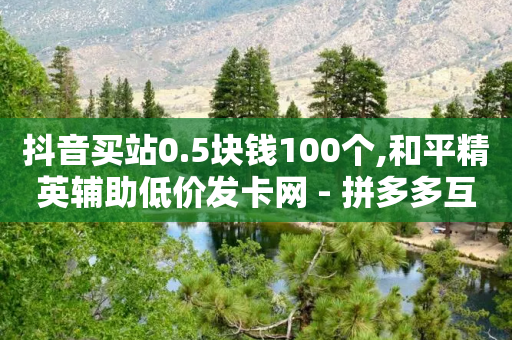 抖音买站0.5块钱100个,和平精英辅助低价发卡网 - 拼多多互助网站 - 拼多多最后一步是碎片吗-第1张图片-靖非智能科技传媒