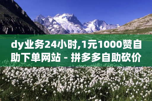 dy业务24小时,1元1000赞自助下单网站 - 拼多多自助砍价网站 - 拼多多推广员怎么申请-第1张图片-靖非智能科技传媒