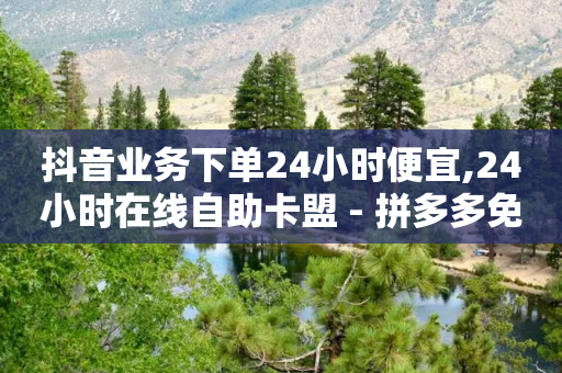 抖音业务下单24小时便宜,24小时在线自助卡盟 - 拼多多免费助力工具无限制 - 拼多多官网登录入口