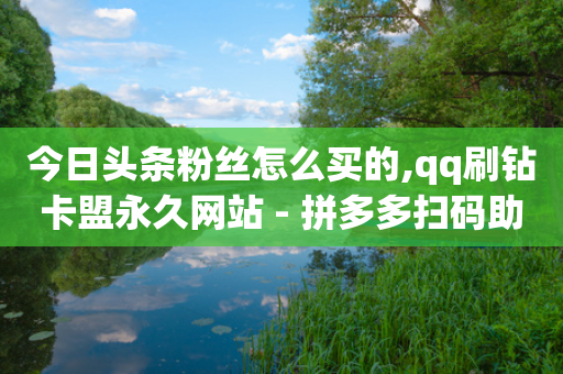 今日头条粉丝怎么买的,qq刷钻卡盟永久网站 - 拼多多扫码助力软件 - 哪里可以帮忙拼多多砍价