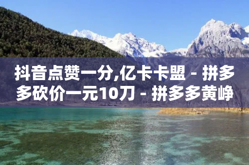 抖音点赞一分,亿卡卡盟 - 拼多多砍价一元10刀 - 拼多多黄峥-第1张图片-靖非智能科技传媒