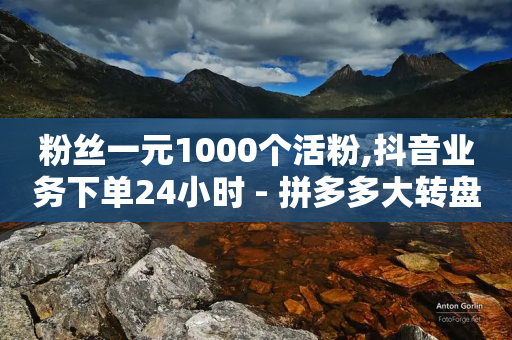 粉丝一元1000个活粉,抖音业务下单24小时 - 拼多多大转盘助力网站免费 - 拼多多大转盘100元最后一分技巧-第1张图片-靖非智能科技传媒