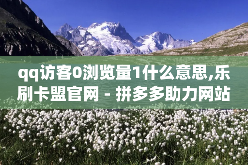 qq访客0浏览量1什么意思,乐刷卡盟官网 - 拼多多助力网站 - 如何注册拼多多网店-第1张图片-靖非智能科技传媒