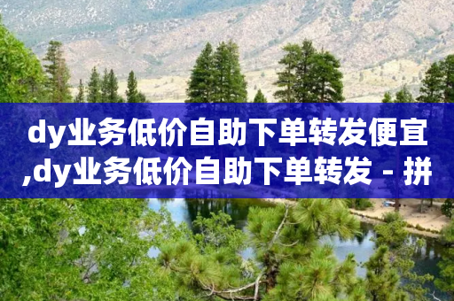 dy业务低价自助下单转发便宜,dy业务低价自助下单转发 - 拼多多砍价助力网站 - 拼多多免费自动刷刀软件-第1张图片-靖非智能科技传媒