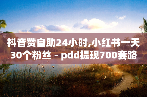 抖音赞自助24小时,小红书一天30个粉丝 - pdd提现700套路最后一步 - 拼多多助力提现没到账怎么办-第1张图片-靖非智能科技传媒