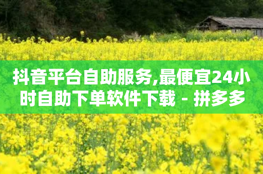 抖音平台自助服务,最便宜24小时自助下单软件下载 - 拼多多转盘刷次数网站免费 - 拼多多助力兑换卡怎么获得