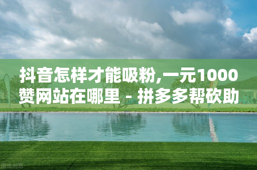 抖音怎样才能吸粉,一元1000赞网站在哪里 - 拼多多帮砍助力软件 - 拼多多上可以讲价吗