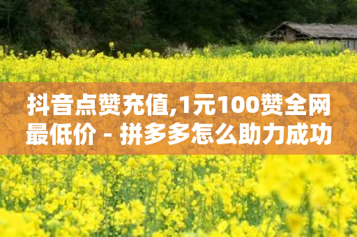 抖音点赞充值,1元100赞全网最低价 - 拼多多怎么助力成功 - 拼多多现金大转盘免费助力软件