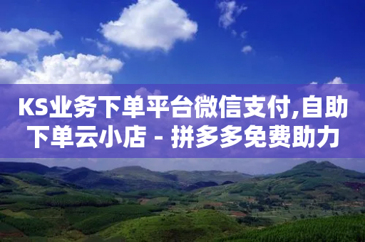 KS业务下单平台微信支付,自助下单云小店 - 拼多多免费助力网站 - 拼多多信息隐私泄露案件-第1张图片-靖非智能科技传媒