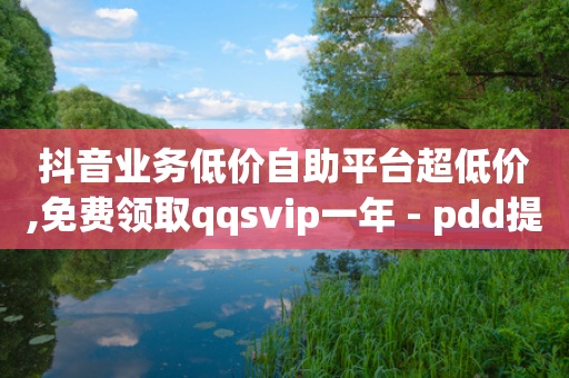 抖音业务低价自助平台超低价,免费领取qqsvip一年 - pdd提现700套路最后一步 - pdd业务免费下单平台最便宜-第1张图片-靖非智能科技传媒