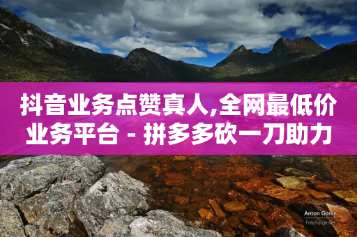 抖音业务点赞真人,全网最低价业务平台 - 拼多多砍一刀助力平台网站 - 拼多多差0.01碎片需要多少人-第1张图片-靖非智能科技传媒