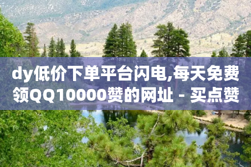 dy低价下单平台闪电,每天免费领QQ10000赞的网址 - 买点赞下单 - qq空间下单业务网站官网