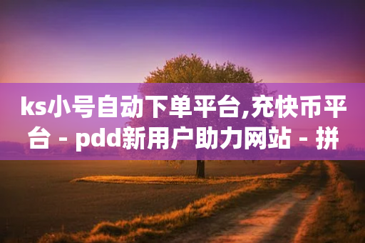 ks小号自动下单平台,充快币平台 - pdd新用户助力网站 - 拼多多店铺收藏关注任务平台-第1张图片-靖非智能科技传媒