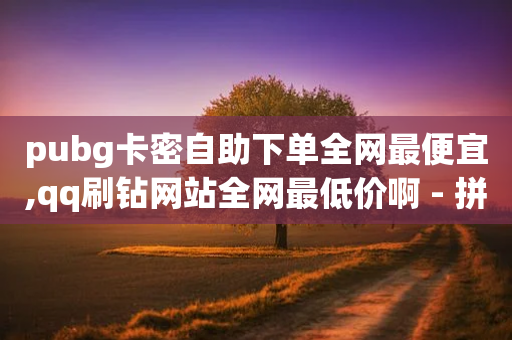 pubg卡密自助下单全网最便宜,qq刷钻网站全网最低价啊 - 拼多多现金大转盘刷助力网站免费 - 拼多多下单脚本软件-第1张图片-靖非智能科技传媒