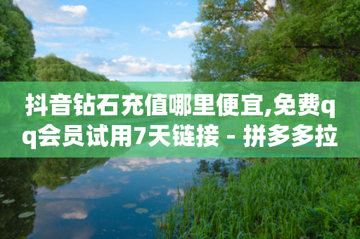 抖音钻石充值哪里便宜,免费qq会员试用7天链接 - 拼多多拉人助力群 - 拼多多如何跳转-第1张图片-靖非智能科技传媒