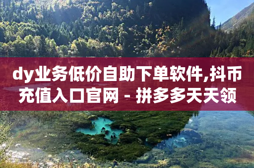 dy业务低价自助下单软件,抖币充值入口官网 - 拼多多天天领现金助力 - 拼多多现金大转盘多少步