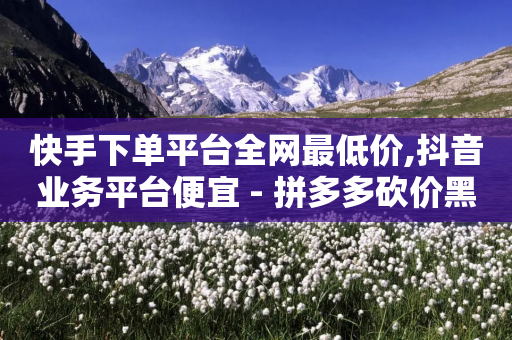 快手下单平台全网最低价,抖音业务平台便宜 - 拼多多砍价黑科技软件 - 拼多多700拉29人够了-第1张图片-靖非智能科技传媒