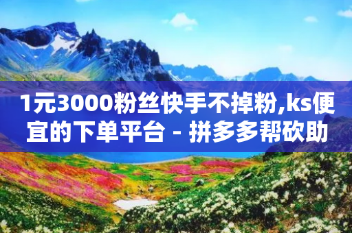 1元3000粉丝快手不掉粉,ks便宜的下单平台 - 拼多多帮砍助力网站 - 拼多多砍价元宝后面是啥-第1张图片-靖非智能科技传媒