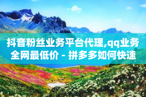 抖音粉丝业务平台代理,qq业务全网最低价 - 拼多多如何快速助力成功 - 互助帮app下载-第1张图片-靖非智能科技传媒