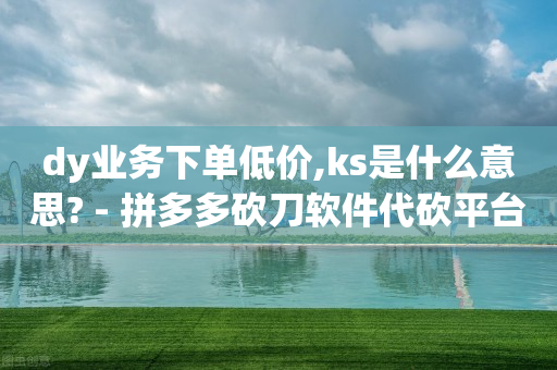 dy业务下单低价,ks是什么意思? - 拼多多砍刀软件代砍平台 - 帮点拼多多的软件