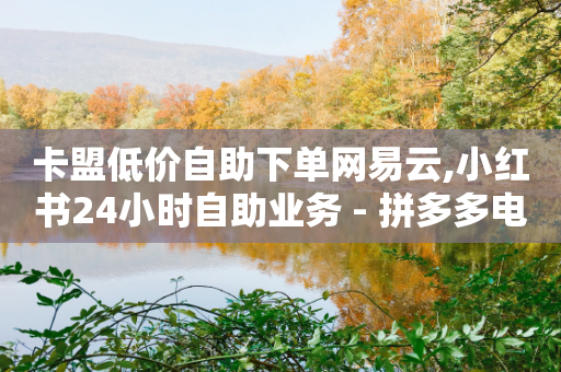 卡盟低价自助下单网易云,小红书24小时自助业务 - 拼多多电商 - 拼多多卖货-第1张图片-靖非智能科技传媒