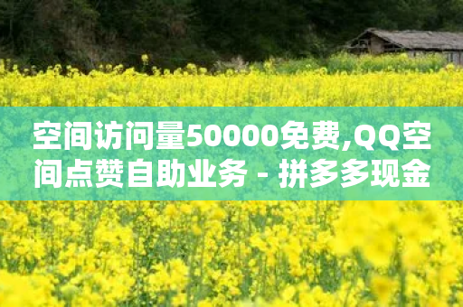 空间访问量50000免费,QQ空间点赞自助业务 - 拼多多现金大转盘助力50元 - 拼多多网站刷助力靠谱吗