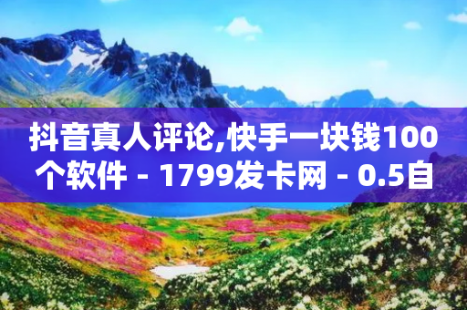 抖音真人评论,快手一块钱100个软件 - 1799发卡网 - 0.5自助下单-第1张图片-靖非智能科技传媒