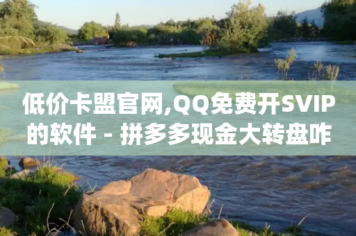 低价卡盟官网,QQ免费开SVIP的软件 - 拼多多现金大转盘咋才能成功 - 带货拿佣金app