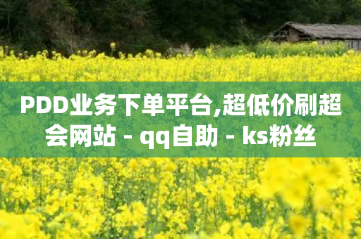 PDD业务下单平台,超低价刷超会网站 - qq自助 - ks粉丝-第1张图片-靖非智能科技传媒