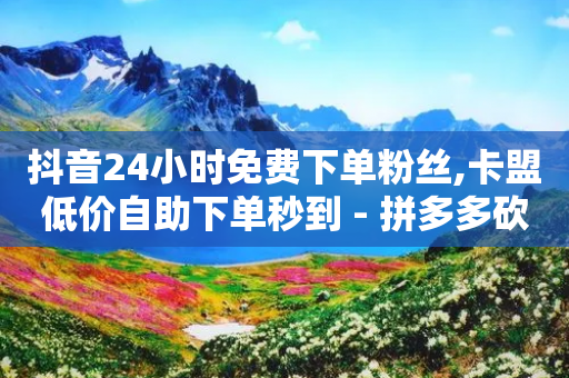 抖音24小时免费下单粉丝,卡盟低价自助下单秒到 - 拼多多砍价网站一元10刀 - 刷拼多多助力-第1张图片-靖非智能科技传媒