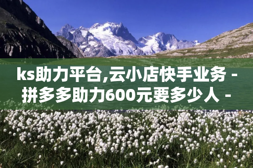 ks助力平台,云小店快手业务 - 拼多多助力600元要多少人 - 砍价怎么随机设置