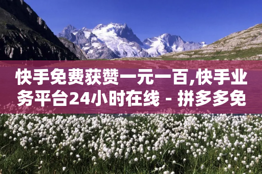 快手免费获赞一元一百,快手业务平台24小时在线 - 拼多多免费助力网站 - 小红书货源怎么弄的