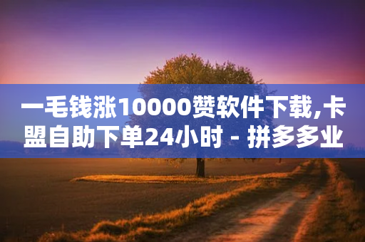 一毛钱涨10000赞软件下载,卡盟自助下单24小时 - 拼多多业务自助平台 - 自动发卡平台 卡密