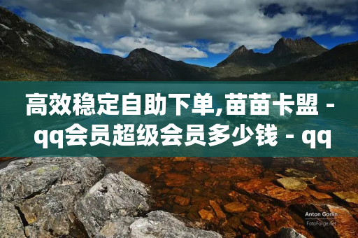 高效稳定自助下单,苗苗卡盟 - qq会员超级会员多少钱 - qq业务网-第1张图片-靖非智能科技传媒