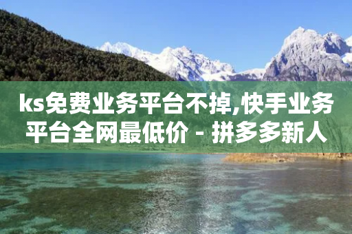 ks免费业务平台不掉,快手业务平台全网最低价 - 拼多多新人助力网站 - 拼多多助力顺序金币元宝-第1张图片-靖非智能科技传媒